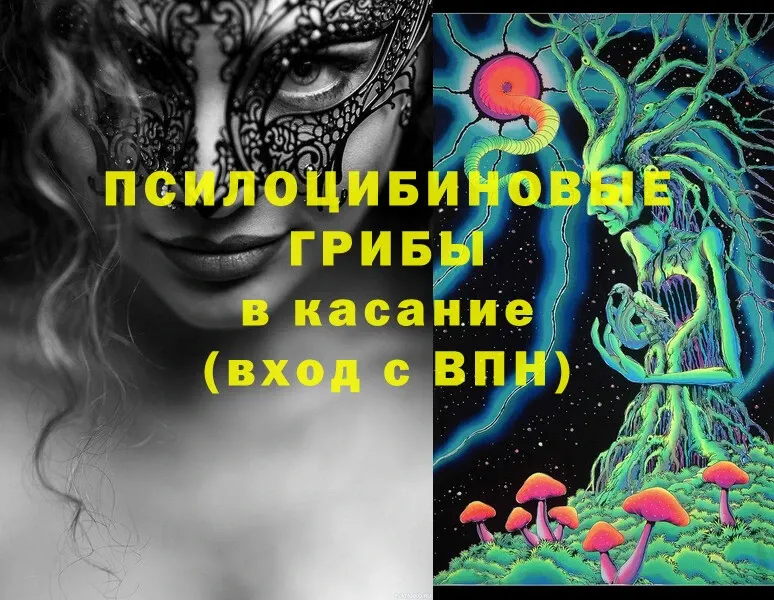 Псилоцибиновые грибы MAGIC MUSHROOMS  где можно купить   даркнет официальный сайт  Нерехта 